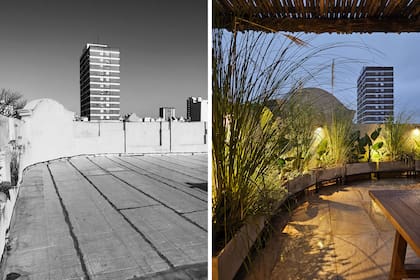 Porcelanato Natura Ivory Out de Vite. Los maceteros de hierro, diseñados por el estudio. El diseño y la selección de plantas, por el estudio