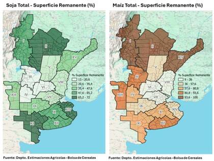 Porcentaje que queda de cosechar de soja y de maíz, según la Bolsa de Cereales de Buenos Aires