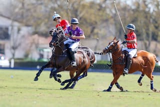A los 66 juega al polo con los Cambiaso y disfruta: "El polo me permite escapar del estrés del trabajo"