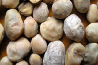 Un peligro que recién empieza y por qué hay que estar atentos