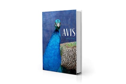 Portada de "Avistaje", de Clara de Estrada