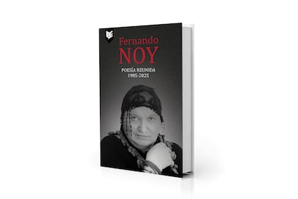 Portada de la poesía reunida de Fernando Noy que publica el sello Evaristo