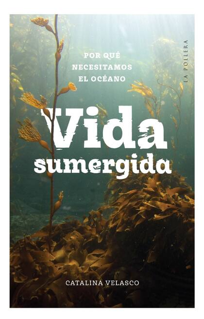 Portada del libro Vida sumergida