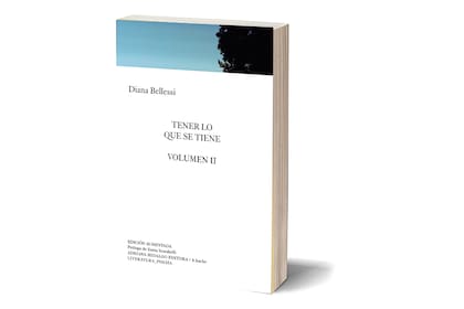 Portada del segundo volumen de la obra reunida de Diana Bellessi, "Tener lo que se tiene"