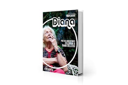 Portada del volumen de poemas en homenaje a la poeta Diana Bellessi, publicado por Camalotal (foto de Gala Abramovich)
