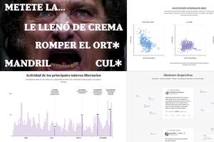 Los altibajos de Milei. El año en que el Presidente puso en juego su gestión