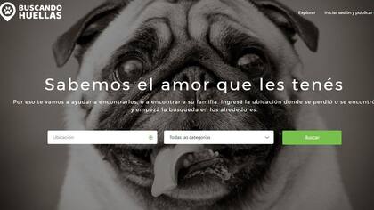 Portada principal de Buscando huellas