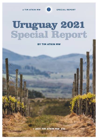 Portado del informe de Tim Atkin sobre vinos uruguayos