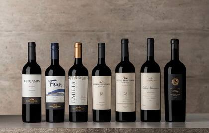 Portafolio completo de Nieto Senetiner.