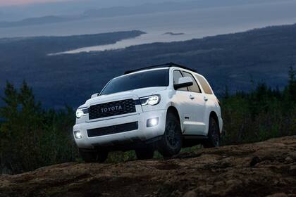 Posee un alto costo de mantenimiento. Además de que se deben evaluar los costos de guardado por el gran tamaño que la deja afuera de la mayor parte de los espacios standard