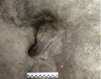 Posible huella de homínido descubierta en Schöningen
