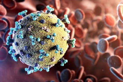 Posibles nuevas variantes del SARS-CoV-2 siembran la incógnita sobre la evolución de la pandemia