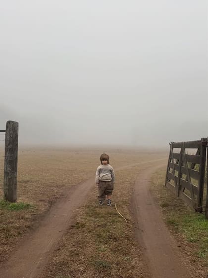 Postal de Tao, de dos años, en la tranquera del campo y con la neblina de fondo