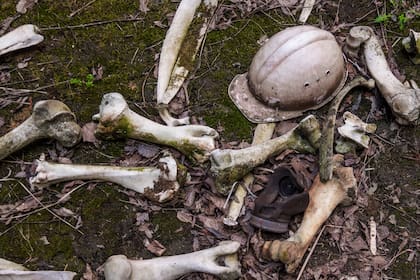 Un casco yace junto a huesos de animales en la zona de exclusión de Chernobyl
