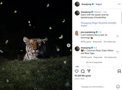 Posteo del fotógrafo en Instagram y la reacción de sus seguidores ante el hecho natural