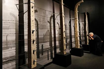 Postes de concreto y alambre de púas, que formaron parte del perímetro de Auschwitz