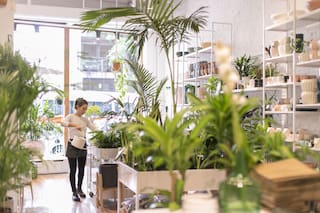 Heladerías con jardín y terrazas con suculentas para recorrer y tomar algo entre la naturaleza