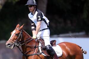 La estrepitosa caída del príncipe Harry de un caballo mientras jugaba al polo en California
