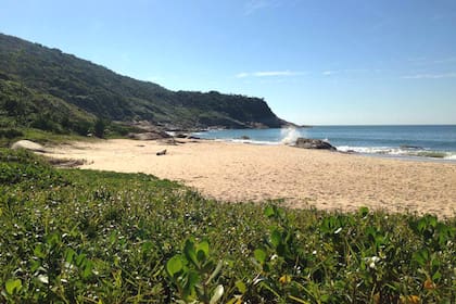 Praia da Pinho, Brasil