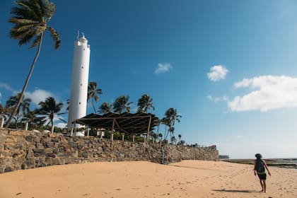 Praia do Forte. Denise Giovaneli