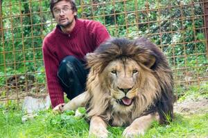 El hombre que murió devorado por un león que cuidaba en el patio de su casa