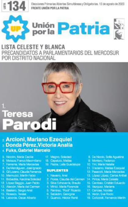 Precandidatos al Parlasur de Unión por la Patria