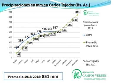 Precipitaciones año 2019 vs años 1924-2013