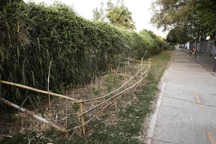 Como forma de protesta para forzar la reapertura, se armó una huerta comunitaria en los alrededores del predio