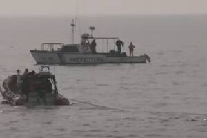 Prefectura Naval retiró a la ballena encallada en Costanera Norte