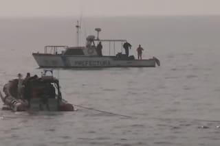 Prefectura Naval retiró a la ballena encallada en Costanera Norte