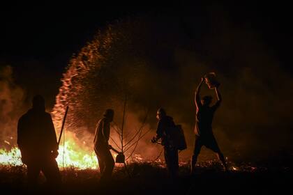 En 2020, hubo que salir de las viviendas a luchar contra los incendios (foto de Mauricio Centurión)