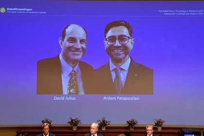 Premio Nobel de Medicina para David Julius y Ardem Patapoutian