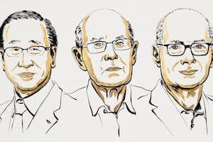 Premio Nobel de Química 2025