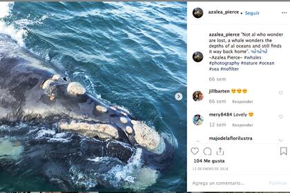 La foto que subió al Instagram que abrió con un pseudónimo, tomada durante su visita a Puerto Madryn