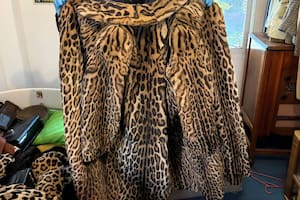 Prendas de piel de animales exóticos encontradas en una casa de Villa Urquiza