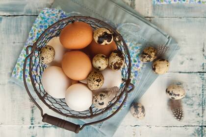 Prepará recetas con distintos tipos de huevos