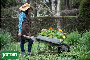Todo lo que tu jardín necesita para arrancar la primavera con fuerza