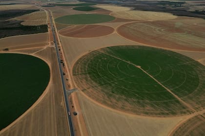Preparación de campos para la siembra de maíz y soja en un área rural de Brasilia, (AP Foto/Eraldo Peres)