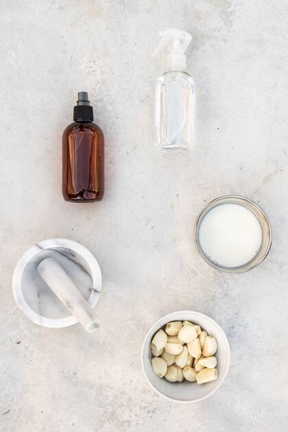 Preparado de alcohol de ajo.