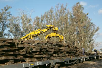 Preparando el terreno