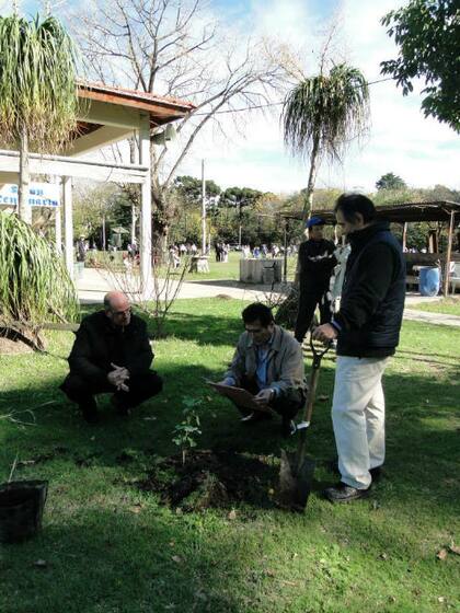 Preparativos para la plantación de un ginkgo. Ernesto Matayoshi y Julio Bernal con directivos de Okiren. Foto: Semillas de Paz Argentina.