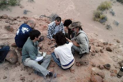 El equipo de paleontólogos liderado por Facundo Riguetti y Sebastián Apesteguía, realizando las tareas de excavación
