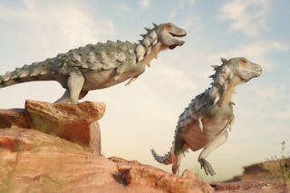 El hallazgo de fósiles que podría reescribir la historia de los dinosaurios acorazados de América del Sur