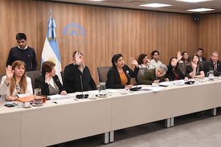 Defensores de acuerdos truchos y no de la niñez