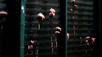 Presos en Brasil, involucrados en un caso que causa escándalo