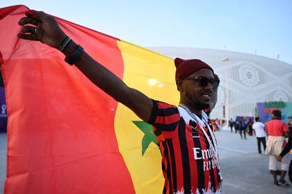Previa del partido entre Senegal y Países Bajos en el Estadio Al-Thumama en Doha