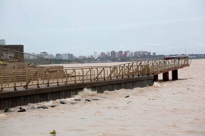 El mulle que permite acercarse al río