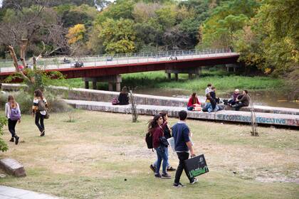 La reserva posee un bosque mixto: hay ligustro y paraíso, y secundariamente se hallan tipas y eucaliptos