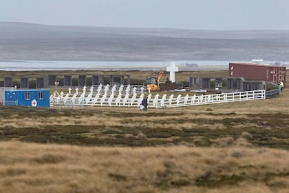 Primera excavación del trabajo de la Cruz Roja Internacional para identificar los restos de los combatientes que permanecen en un cementerio en las Islas Malvinas. 20/6/17