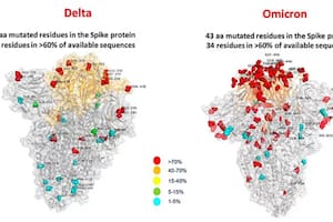 Primera "imagen" de ómicron muestra muchas más mutaciones que en variante delta